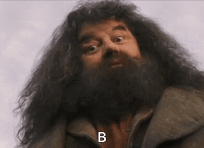 Man With Beard Making Funny Face GIF