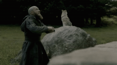 Man With Beard Next To Rock With Wolf GIF