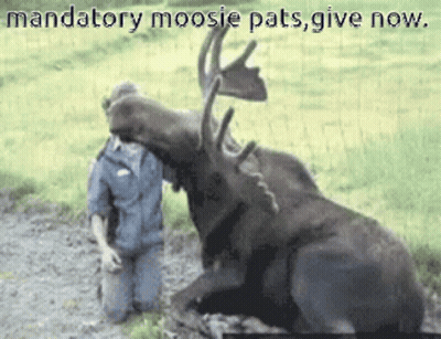 Man With Beard Saying Don't Do That Yet GIF