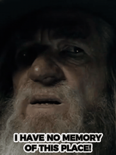 Man With Beard Saying I Have No Memory Of This Place GIF