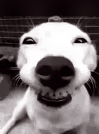 Man With Beard Saying I'm Tired GIF