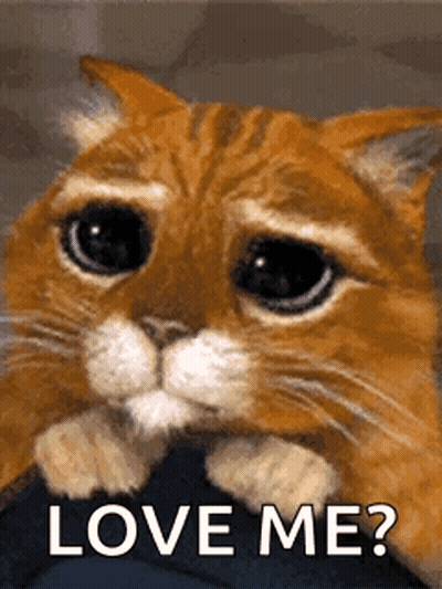 Man With Beard Saying Knock Knock GIF