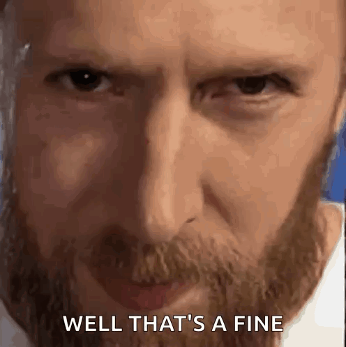 Man With Beard Saying Well That's A Fine GIF