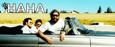Man With Beard Sitting In Car Haha GIF