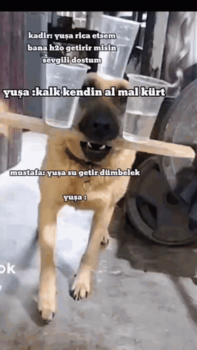 Man With Beard Smiling Saying What's Your Name GIF
