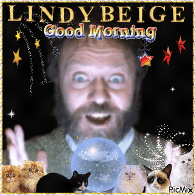 Man With Beard Surrounded By Grumpy Cats Says Good Morning Lindy Beige GIF