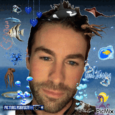 Man With Beard Surrounded By Sea Creatures GIF