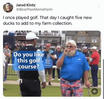 Man With Beard Talking On Golf Course GIF