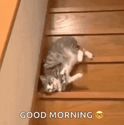 Man With Beard Touching Forehead GIF