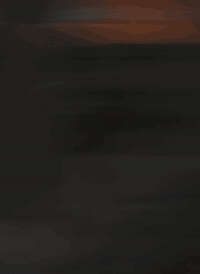 Man With Beard Wearing Calvin Klein Hat GIF