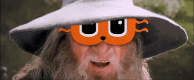Man With Beard Wearing Hat And Cat Face Mask GIF