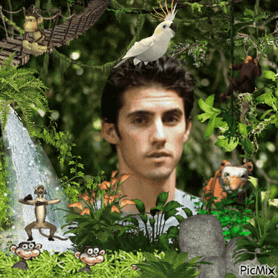 Man With Bird On Head Among Jungle Animals And Waterfall GIF