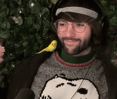 Man With Bird On Shoulder In Sweater Headphones GIF