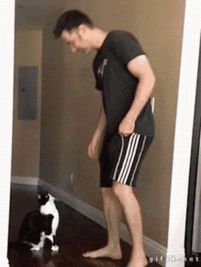 Man With Black And White Cat GIF