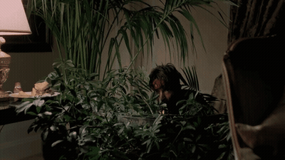 Man With Bloody Head Surrounded By Plants And Lamp GIF