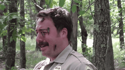 Man With Bugs On Face And Ranger Badge GIF