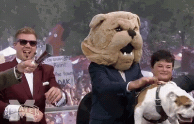 Man With Bulldog Mascot On Head And Dog GIF
