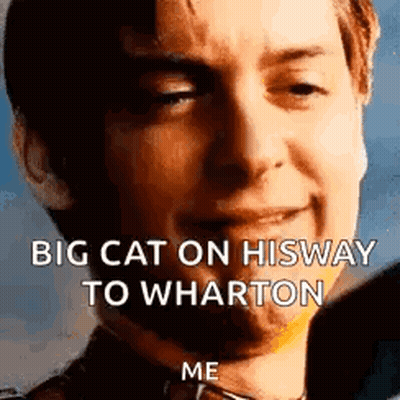 Man With Caption Big Cat On His Way To Wharton GIF