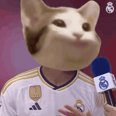 Man With Cat Head Holding Microphone In FIFA Shirt GIF