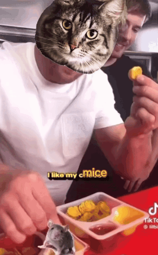 Man With Cat Head Says I Like My Cmice GIF