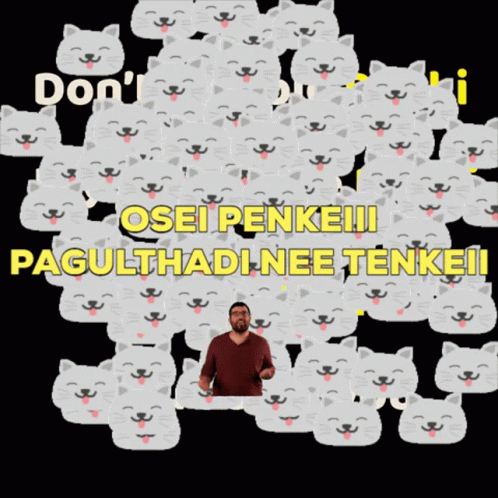 Man With Cats Saying Don't Osei Penke GIF