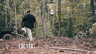 Man With Chainsaw In Woods Country GIF