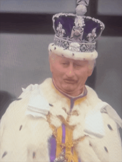 Man With Crown And White Coat GIF