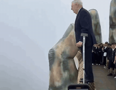 Man With Crutches Standing In Front Of Large Rock GIF