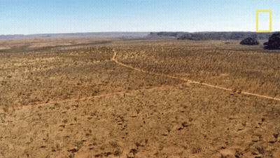 Man With Crutches Way Before It Was Cool And Trendy GIF