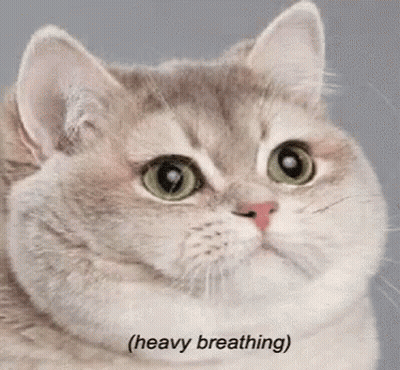 Man With Curly Hair Holding Pipe Making Funny Face GIF