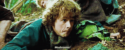 Man With Curly Hair Laying In Woods Saying Mushrooms GIF