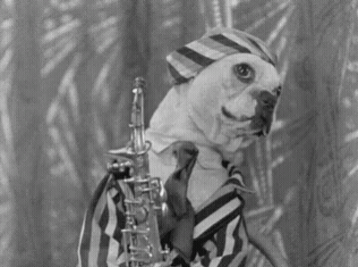 Man With Curly Hair Playing Saxophone GIF
