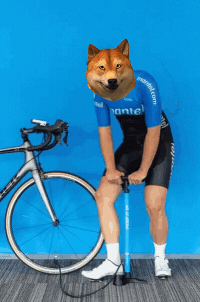Man With Dog Head Pumping Tire Next To Bike GIF