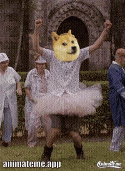 Man With Doge Head Wearing Tutu And Dancing GIF