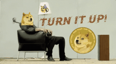 Man With Doge On Head Turn It Up GIF