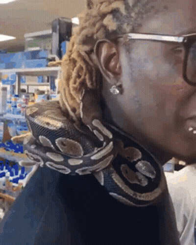 Man With Dreadlocks Holding Snake Around Neck GIF