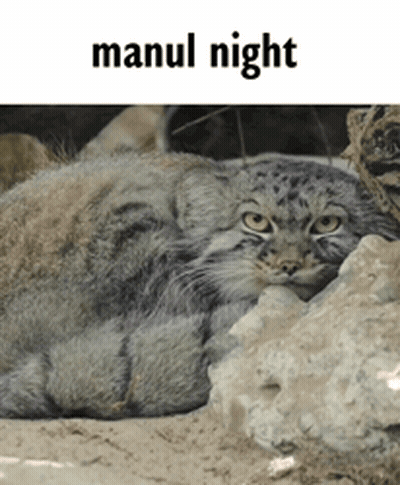 Man With Eyes Closed And Mouth Open GIF