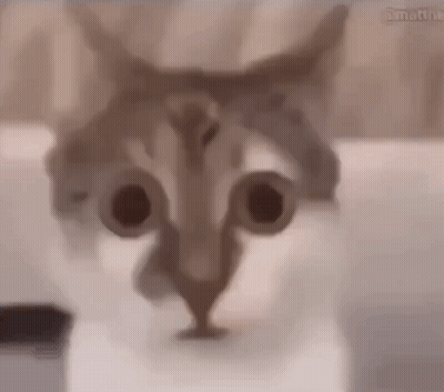 Man With Eyes Closed Stfu Jean GIF