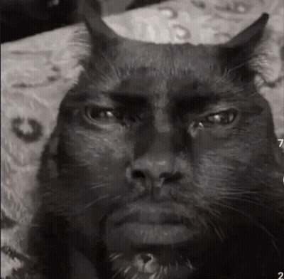 Man With False Eyelashes My Honest Reaction GIF