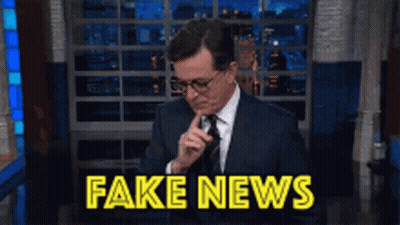 Man With Finger To Chin Saying Fake News GIF