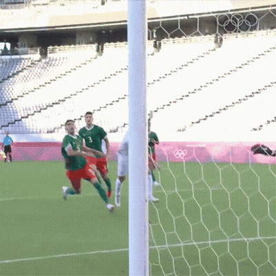 Man With Flag On Face And France Fans Text GIF