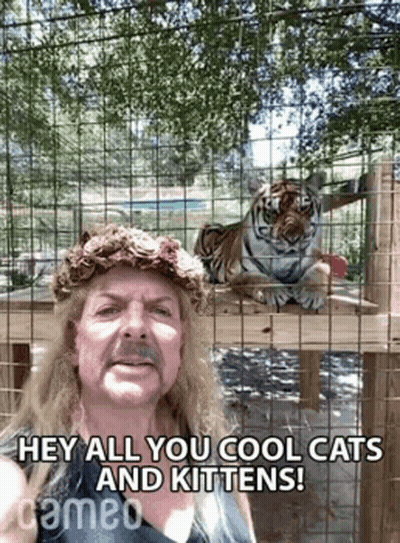 Man With Flower Crown Next To Tiger GIF