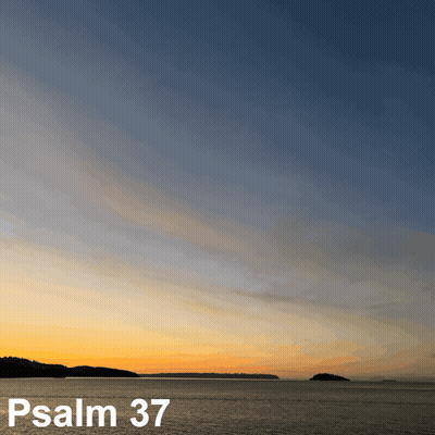 Man With Glasses And Beard Saying Oh Dear God GIF
