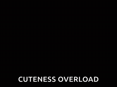 Man With Glasses And Beard Smiling POV You Discord Mod GIF