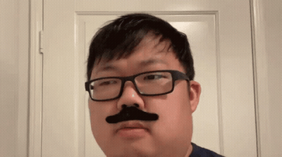 Man With Glasses And Fake Mustache GIF