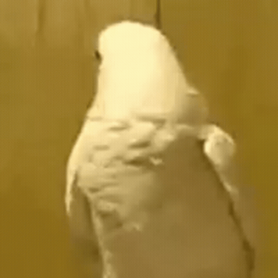 Man With Glasses And Tattoo Singing Into Microphone GIF