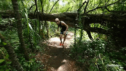 Man With Glasses Jogging Outside GIF