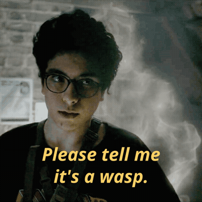 Man With Glasses Saying Please Tell Me It's A Wasp GIF