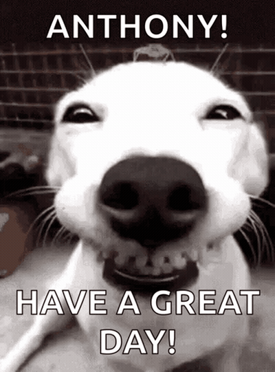 Man With Glasses Says You Okay GIF