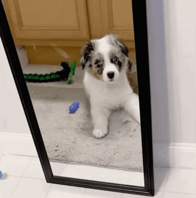 Man With Glasses Standing Beside Ruler 114 Cm 3' 9 GIF